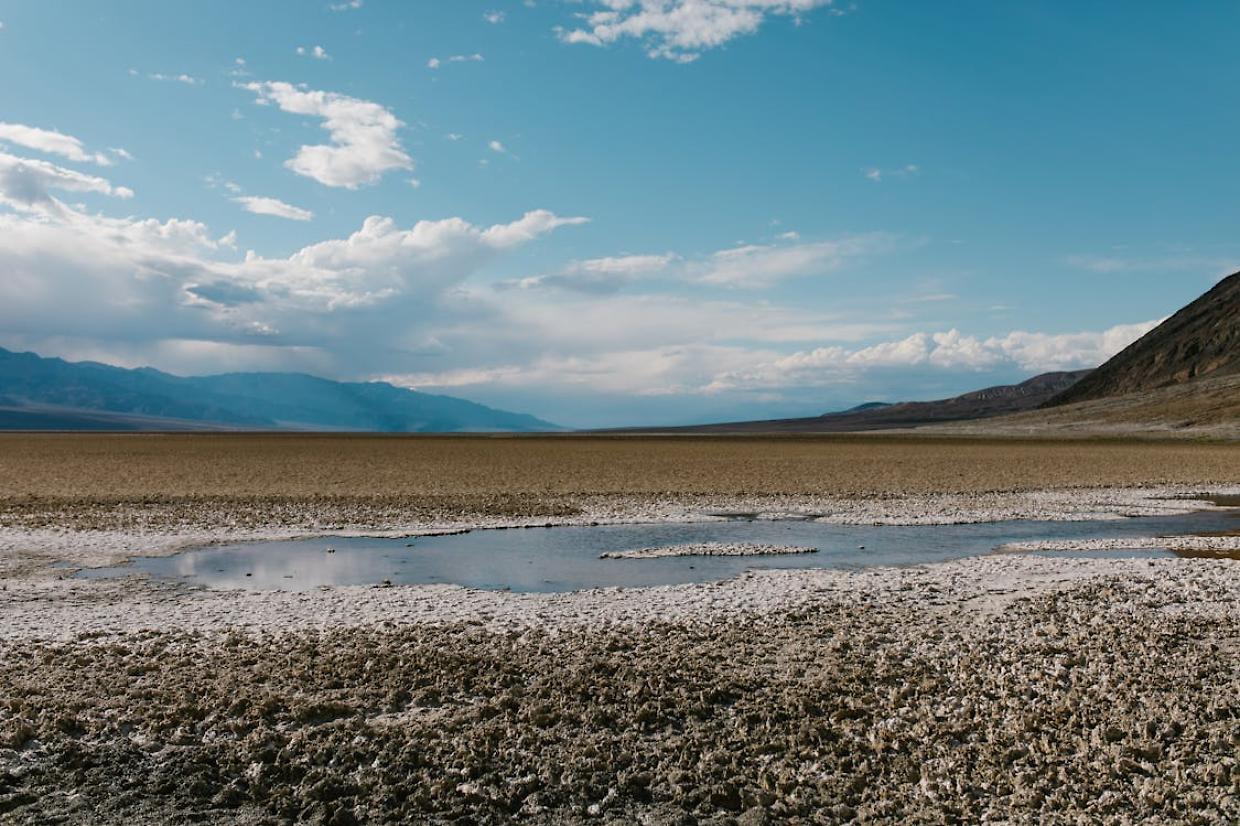 Il sale invaderà un terzo della Terra entro il 2050? Come la crisi climatica e le cattive pratiche agricole stanno rovinando i terreni