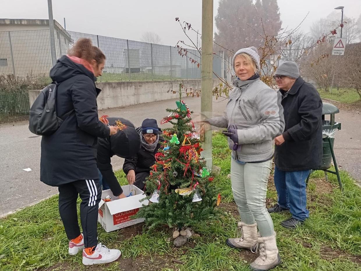 Torino, rubano gli alberi di Natale e Gesù Bambino dal presepe