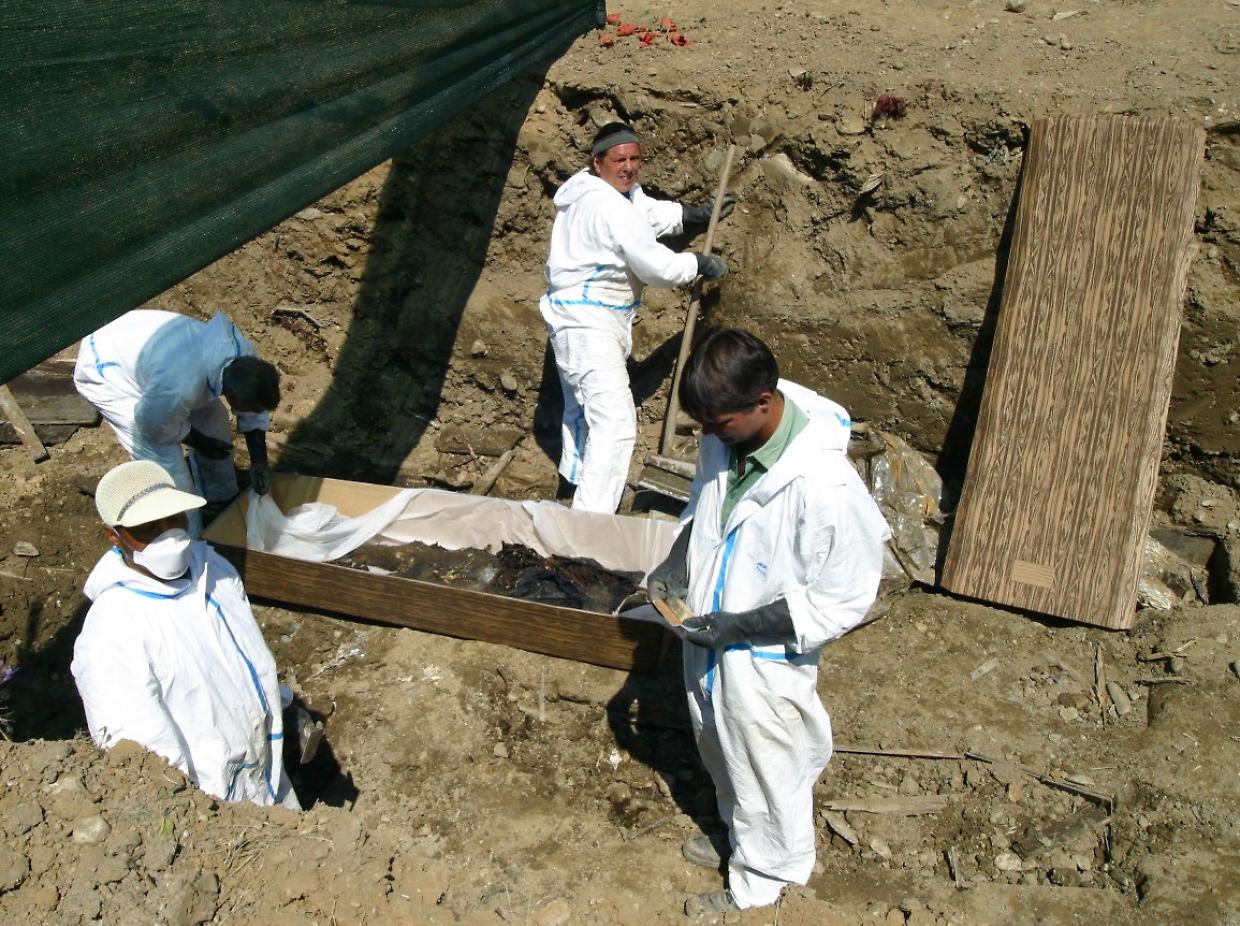 Dalle esumazioni facili ai furti di denti d'oro: tutti i misteri dei cimiteri di Torino
