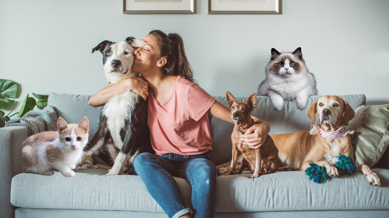 Bonus animali domestici 2025: confermata la detrazione fiscale per le spese veterinarie