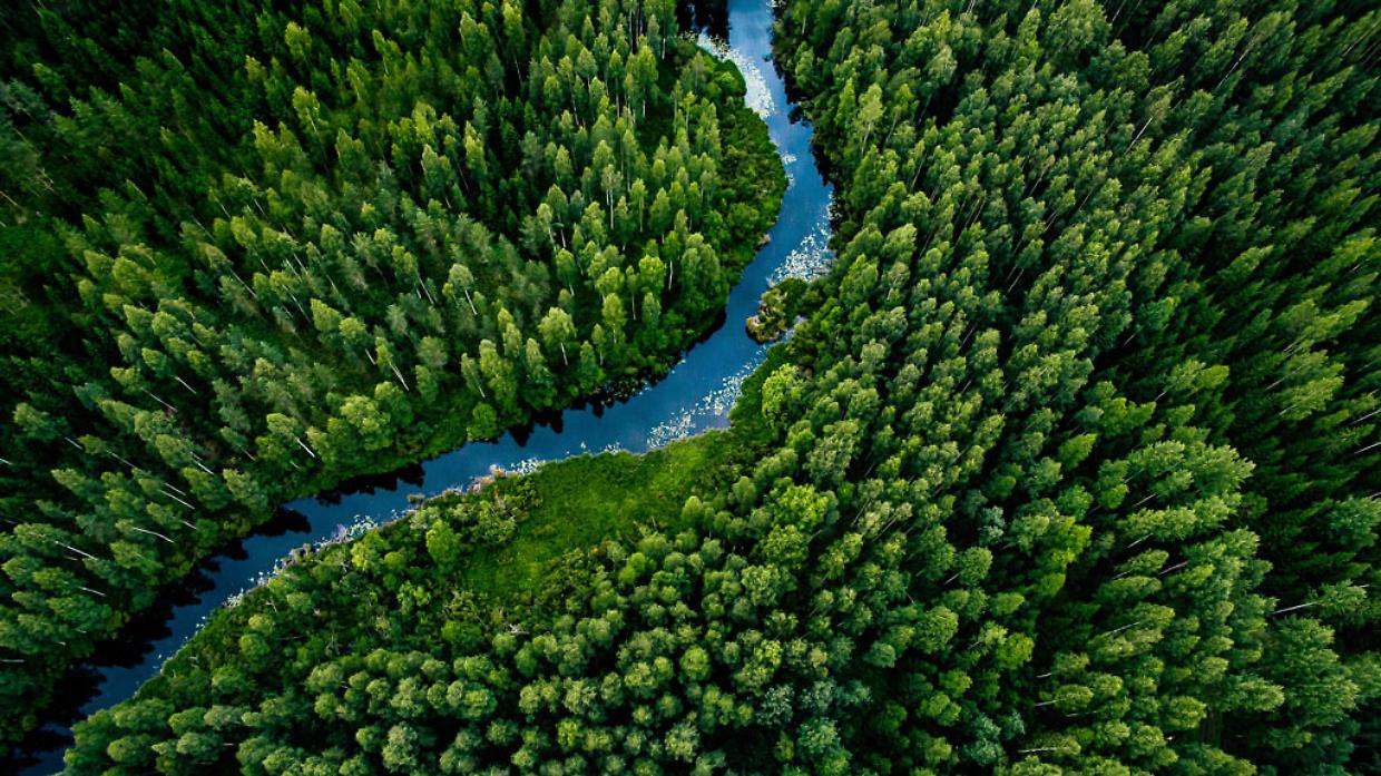 Qual è il paese più ecologico del mondo: la risposta ti sorprenderà