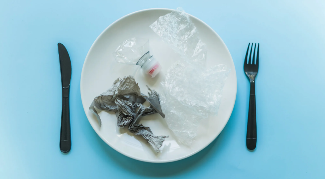 La plastica è nel nostro cervello: quanto è grave la situazione?