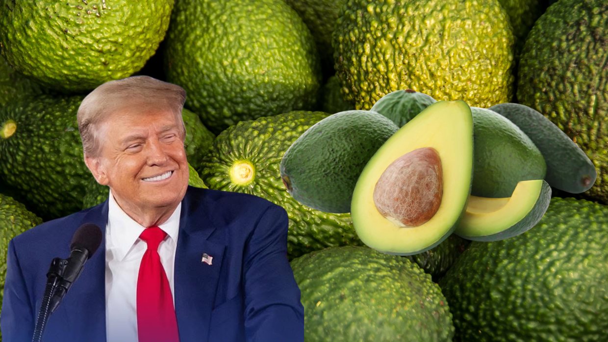 Avocado a peso d’oro: i dazi di Trump fanno volare i prezzi