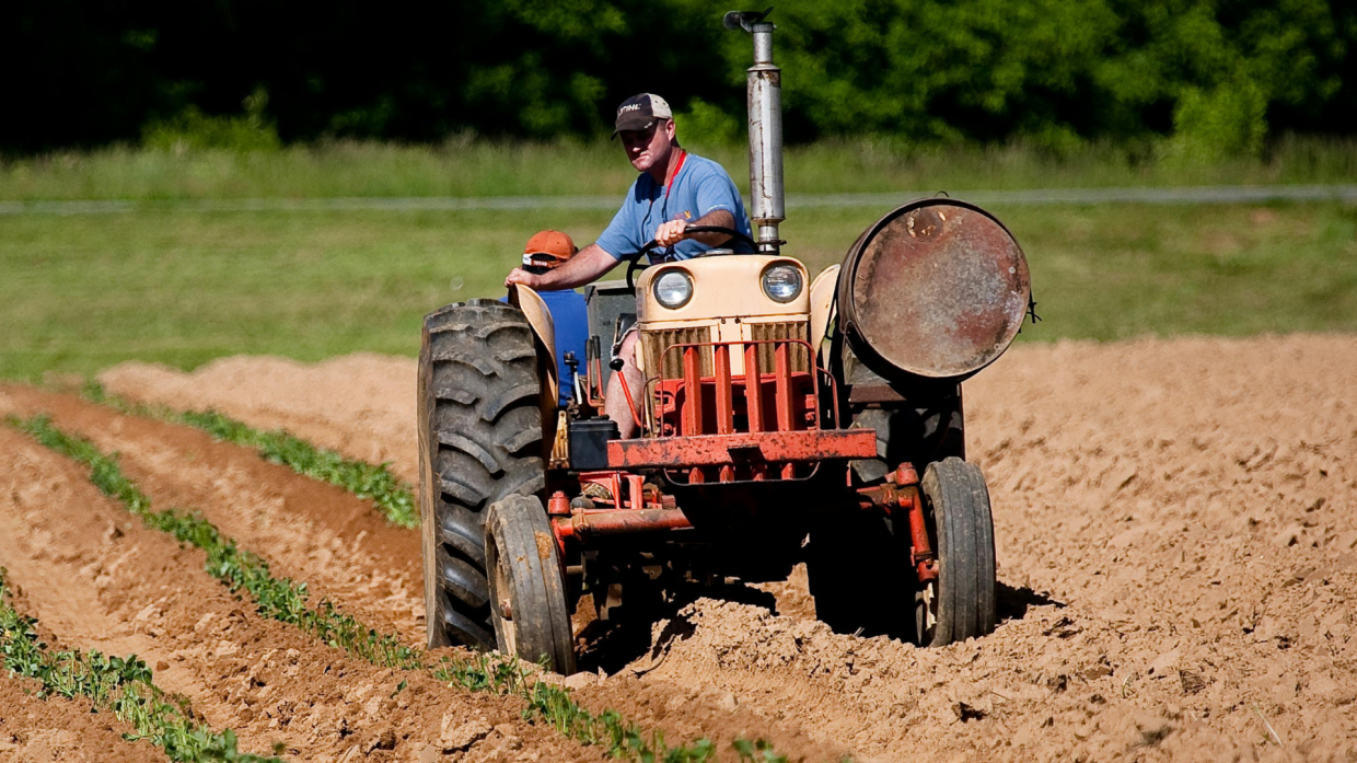 Caro-prezzi e raccolti in calo: l’agricoltura fa i conti con la crisi