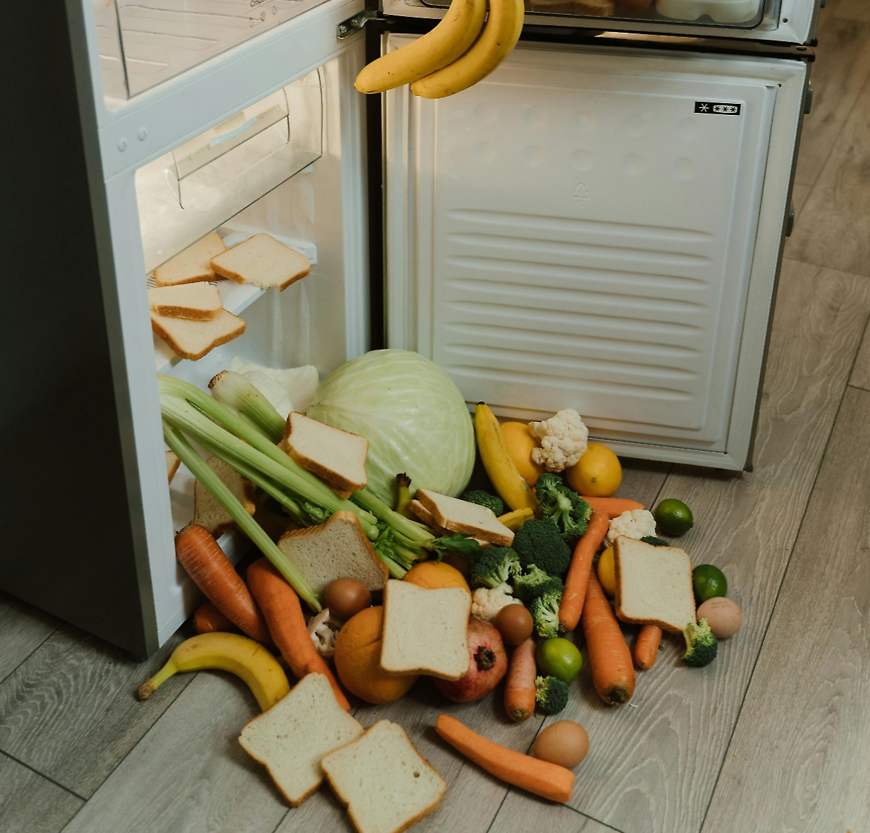  Le idee svuota-frigo: il ricettario di Torino per combattere lo spreco alimentare