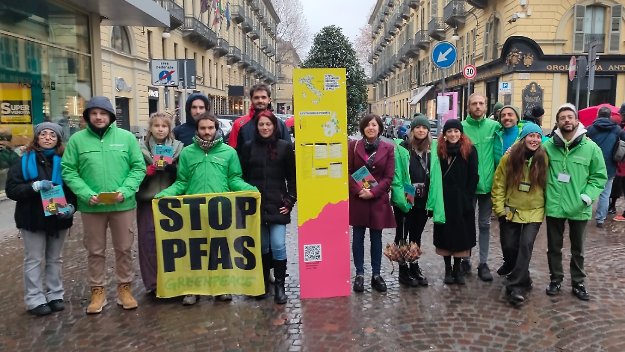 Pfas, a un anno dall'allarme di Greenpeace zero interventi: «Acqua potabile inquinata ma ci dicono di tacere»