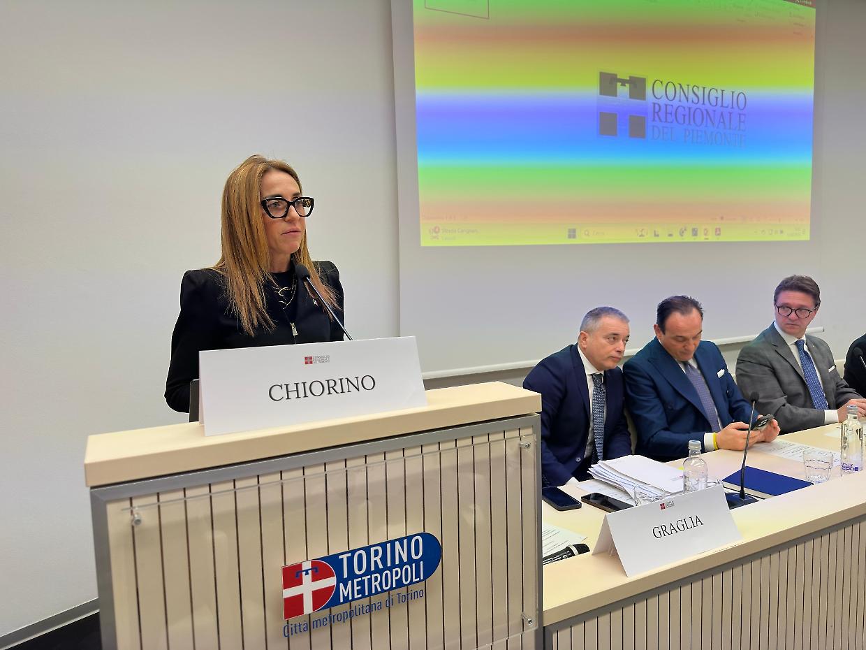 Stellanits, il caso nel consiglio regionale aperto: "Vogliamo che resti qui, ma deve produrre"