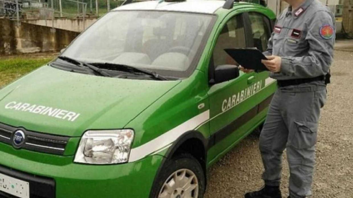 Scoperta rete di officine abusive tra l'Asti e l'Alessandria