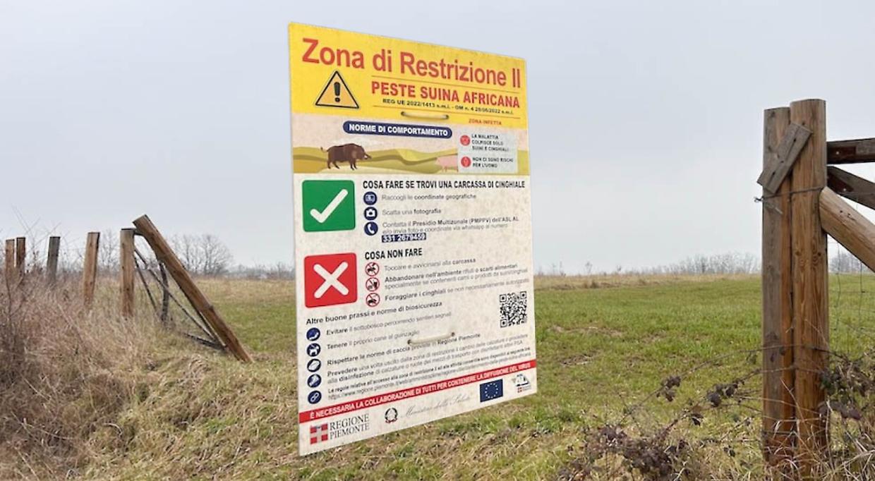 Photo credit Angelo Mastrandrea/Il Post)