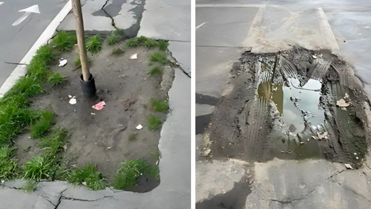 Alberi caduti e mai sostituiti, degrado nelle aiuole di via Filadelfia