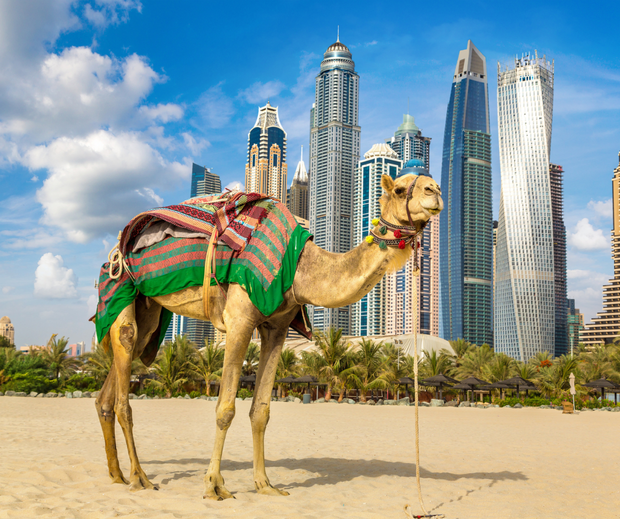 Pioggia (a pagamento) nel deserto, Dubai ci riprova: l'AI per la "semina delle nubi"