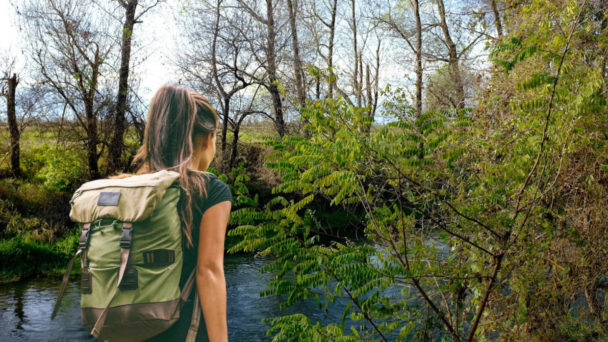 Racconigi mette radici nel futuro: in arrivo 50 alberi per un nuovo bosco