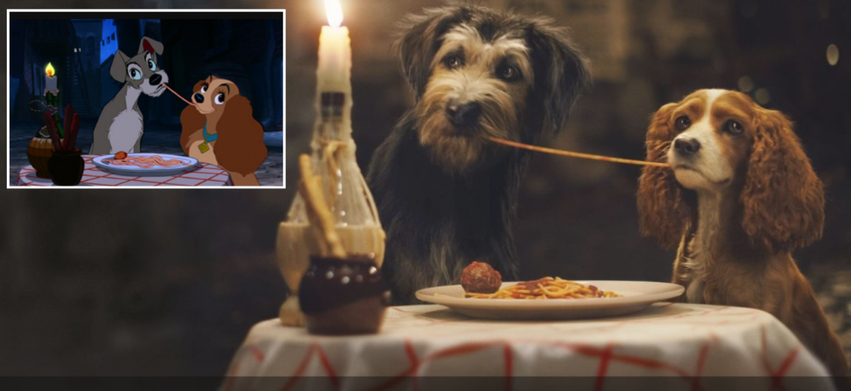 I cani dei cartoni animati: ecco le razze che hanno ispirato i più iconici della tv