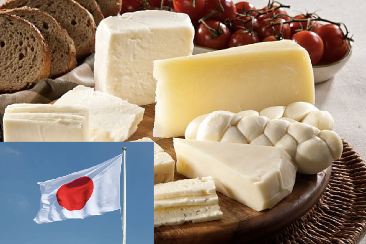 Crescita esponenziale per l'export di formaggi italiani in Giappone nel 2024
