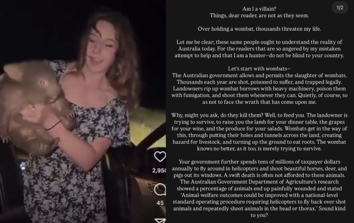 Scandalo in Australia: influencer americana sottrae un cucciolo di vombato alla madre