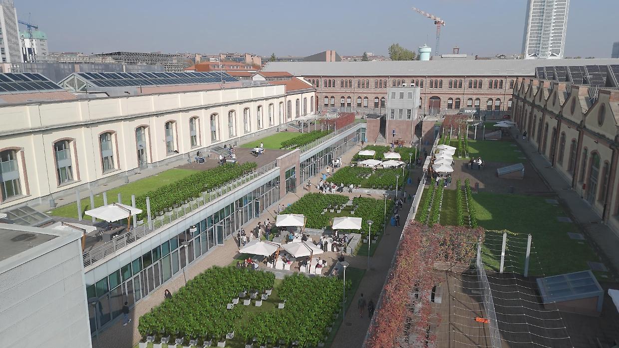 Nasce la prima vigna urbana al Politecnico di Torino