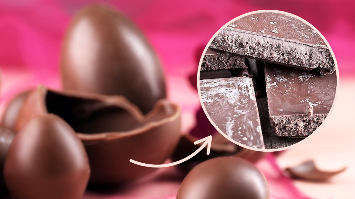 patina bianca sul cioccolato: un fenomeno naturale e innocuo