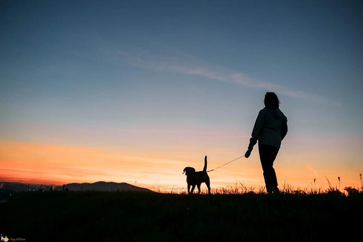 La miglior passeggiata con il cane? Quella dove è lui a portarci