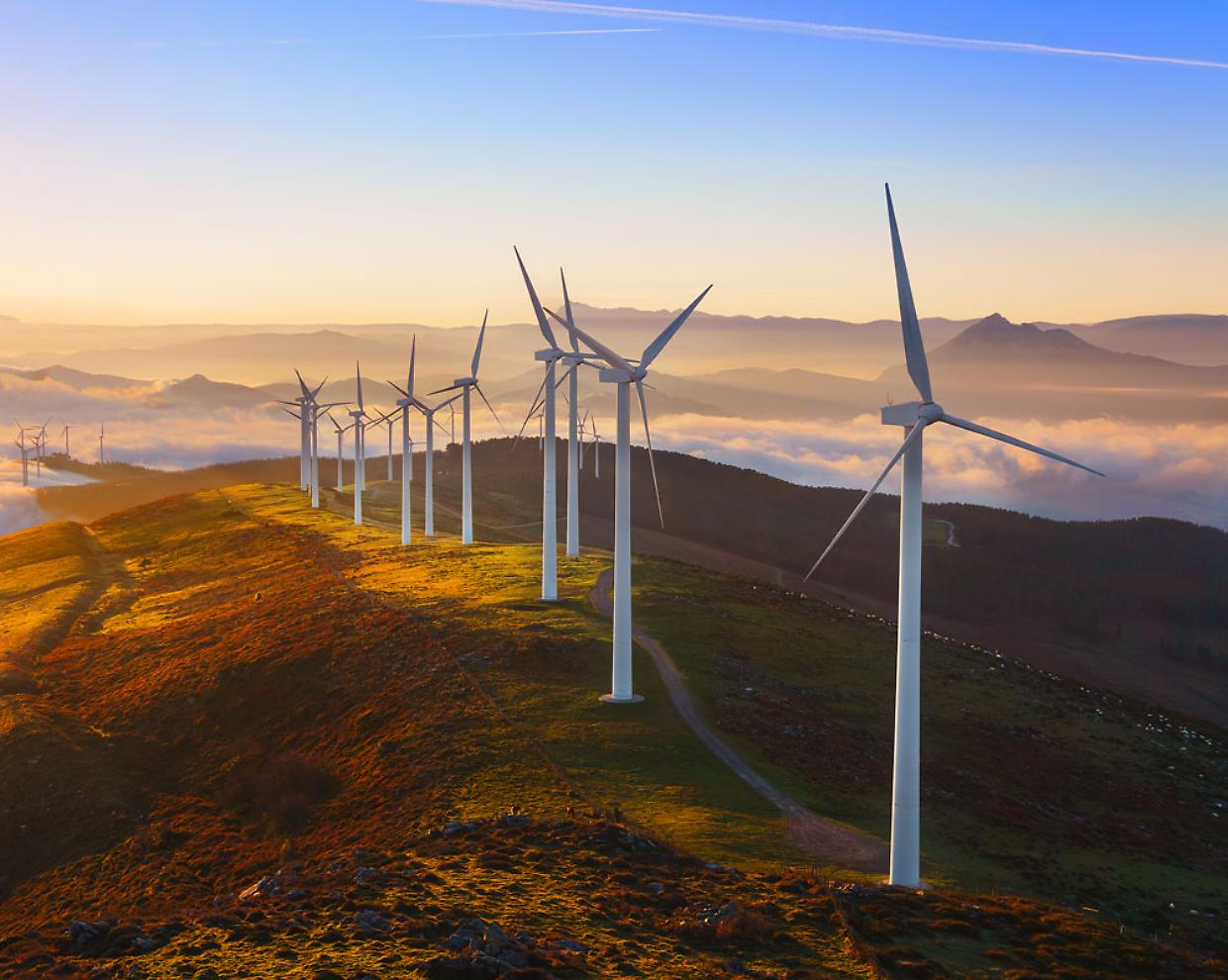 Innovazione e sostenibilità: aumento del 15% delle energie rinnovabili nel mondo, ma non basta