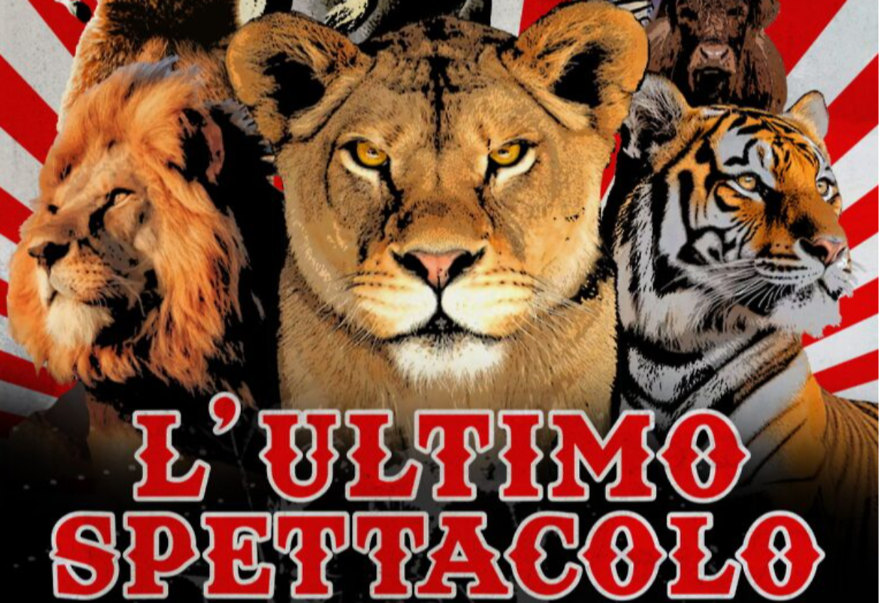 "L'ultimo spettacolo" al Lux «per un circo senza animali»