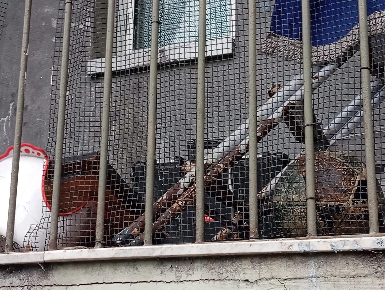 Via Bologna, sgombero di un alloggio abusivo occupato dai rom