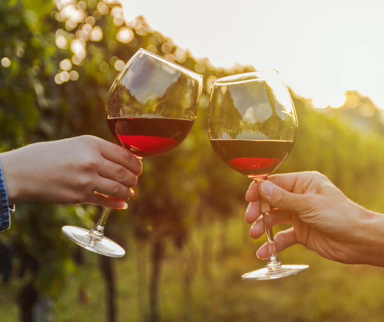 Vino, l'export vale 8,1 miliardi: ecco cosa lo minaccia (oltre ai dazi)
