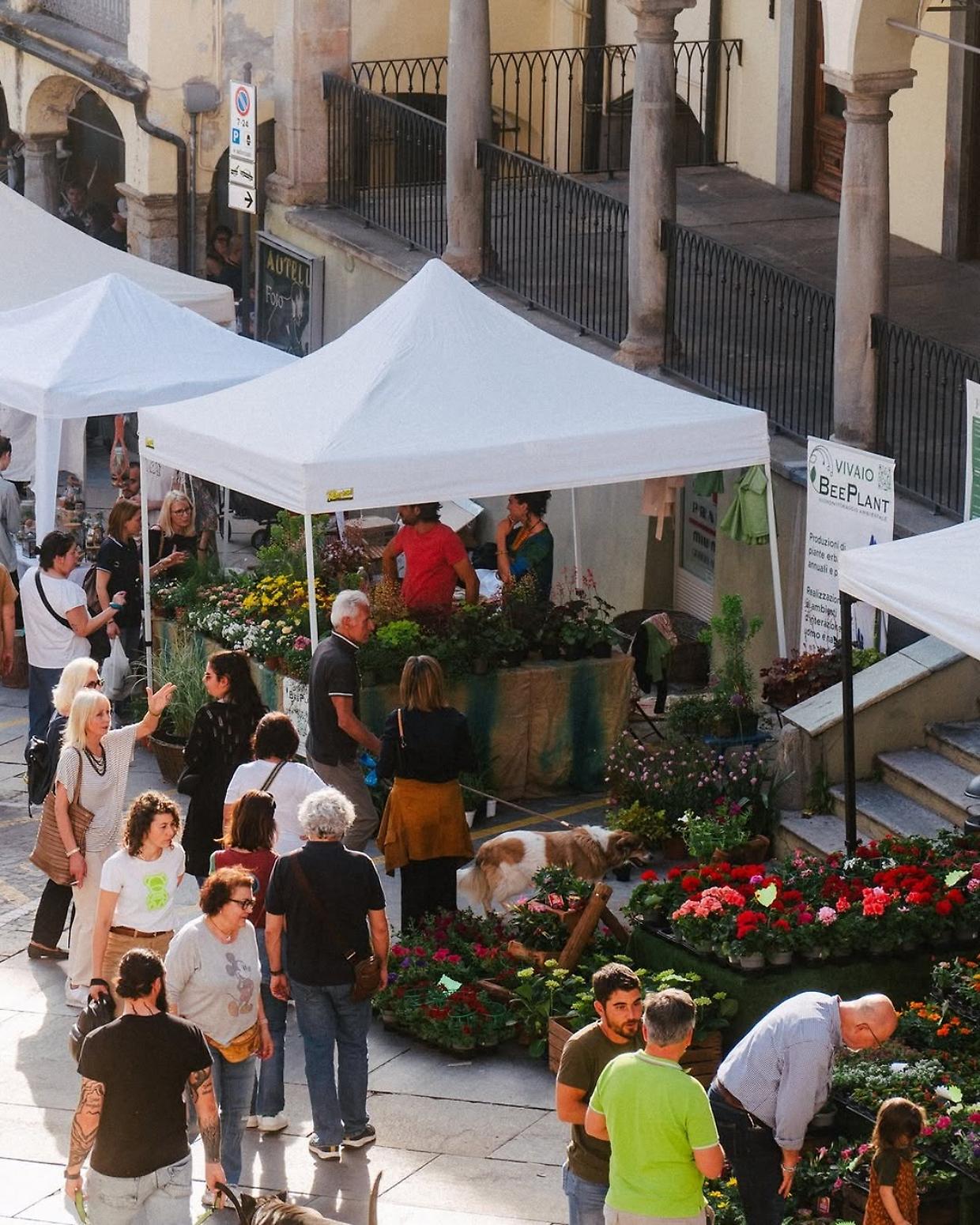 Moncalieri in fiore: la seconda edizione di "Florì" celebra la natura e le eccellenze locali