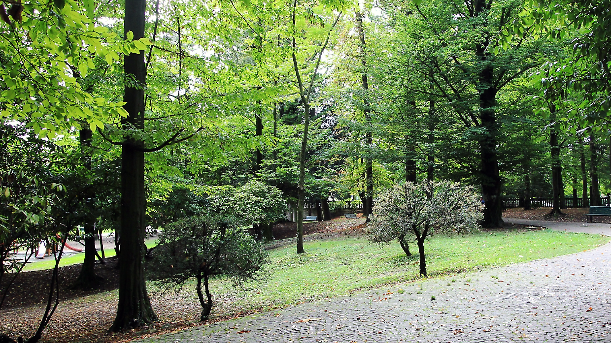 Rivoli: al via la riqualificazione dei giardini pubblici