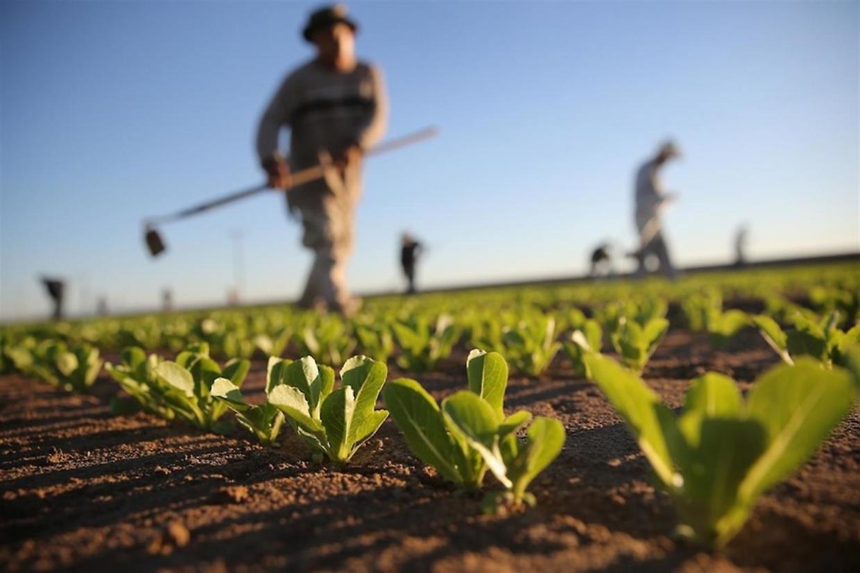 La carta dei suoli: un nuovo strumento per l'agricoltura italiana 