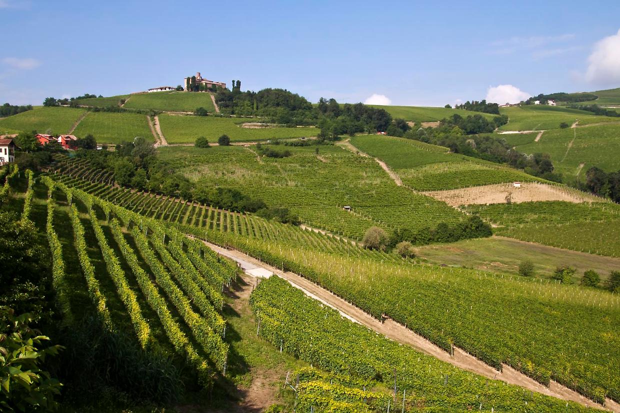 Roero Cultura 2025: un evento di collaborazione nel cuore del Piemonte