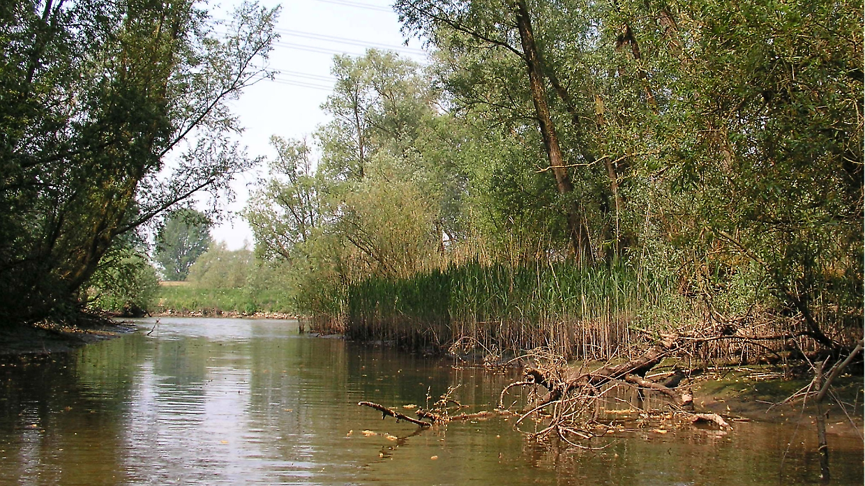Le bellezze del Parco della Confluenza: ecco cosa vedere