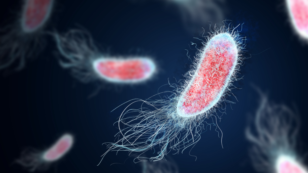 HIV, allarme diagnosi tardive: 6 casi su 10 scoperti troppo tardi. Ecco cosa dicono i dati