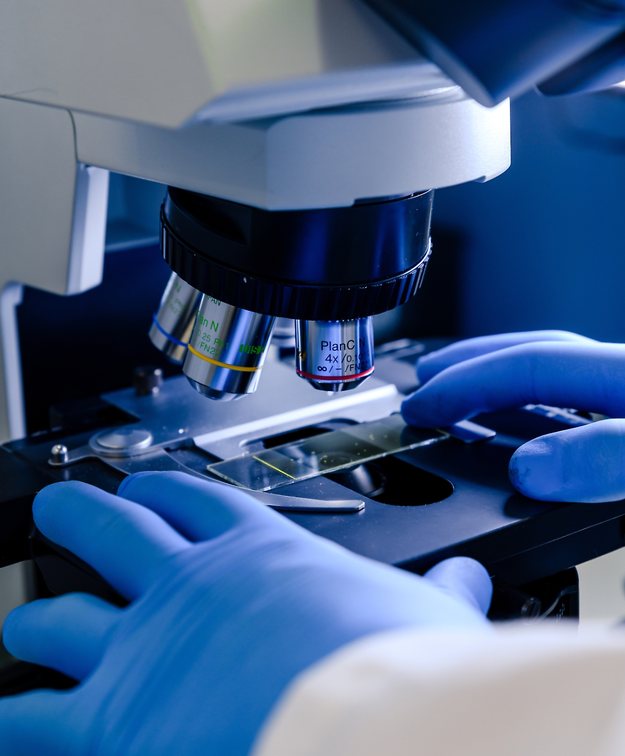 Cosmetici e giocattoli in cima alla lista UE dei prodotti più segnalati: boom di allarmi nel 2024