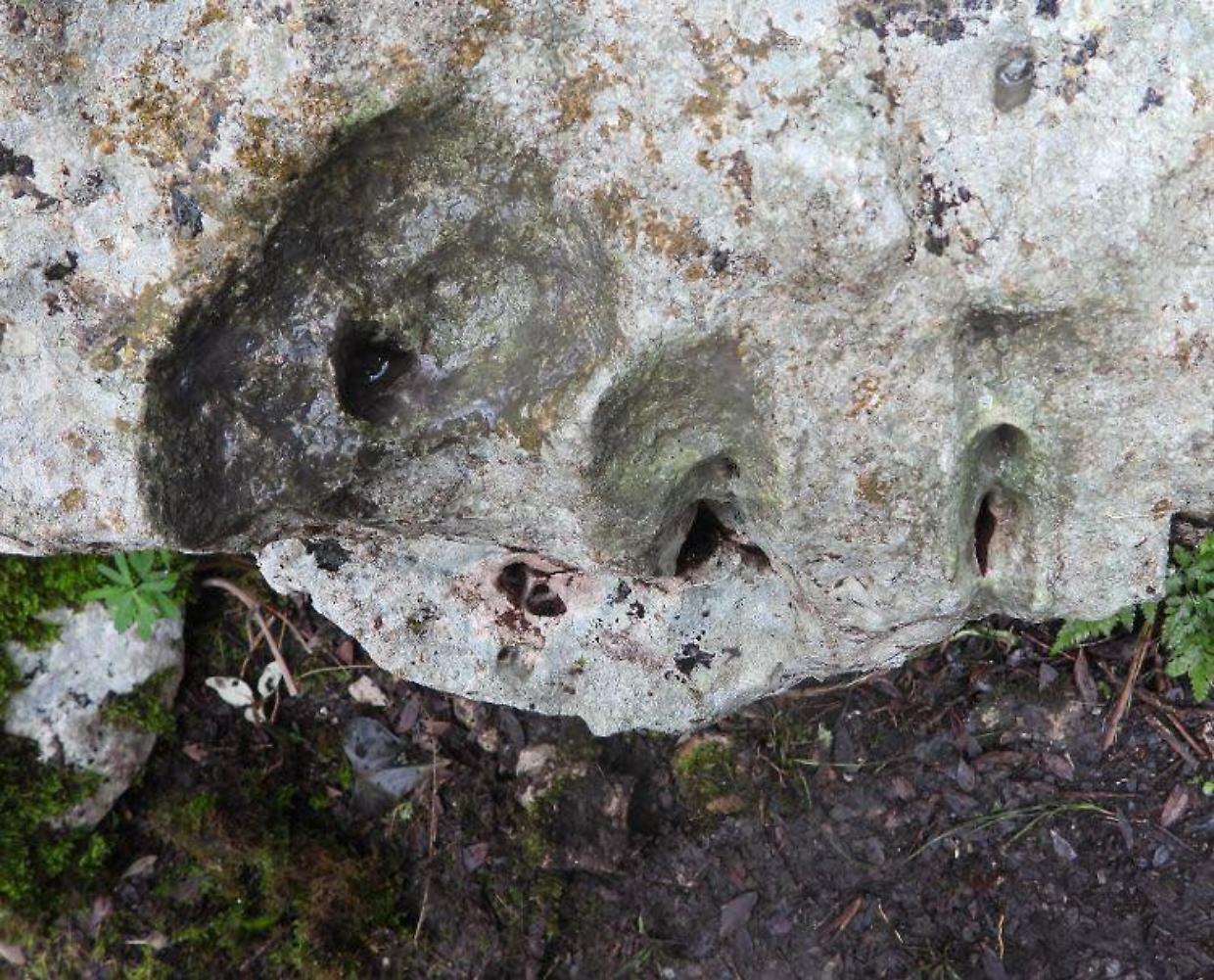 Il mistero di "Bibi": scetticismo sulla presunta orma del dinosauro sardo