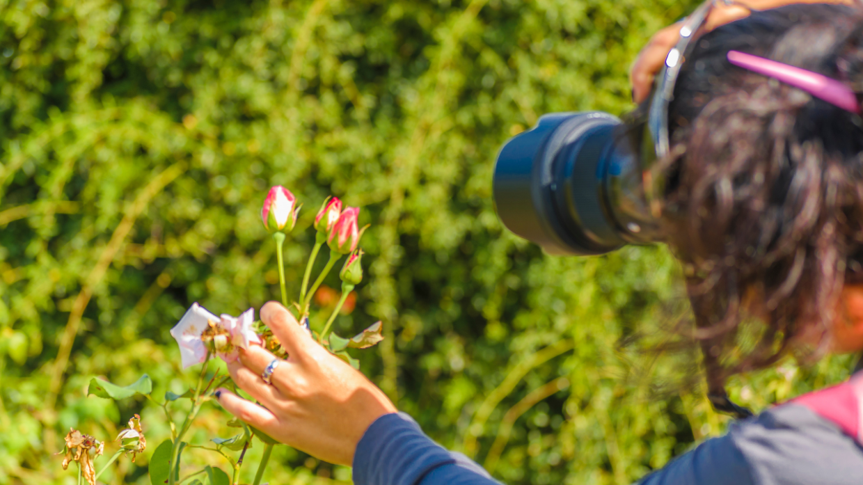 Torino si unisce alla City Nature Challenge 2025: una sfida globale per la biodiversità urbana