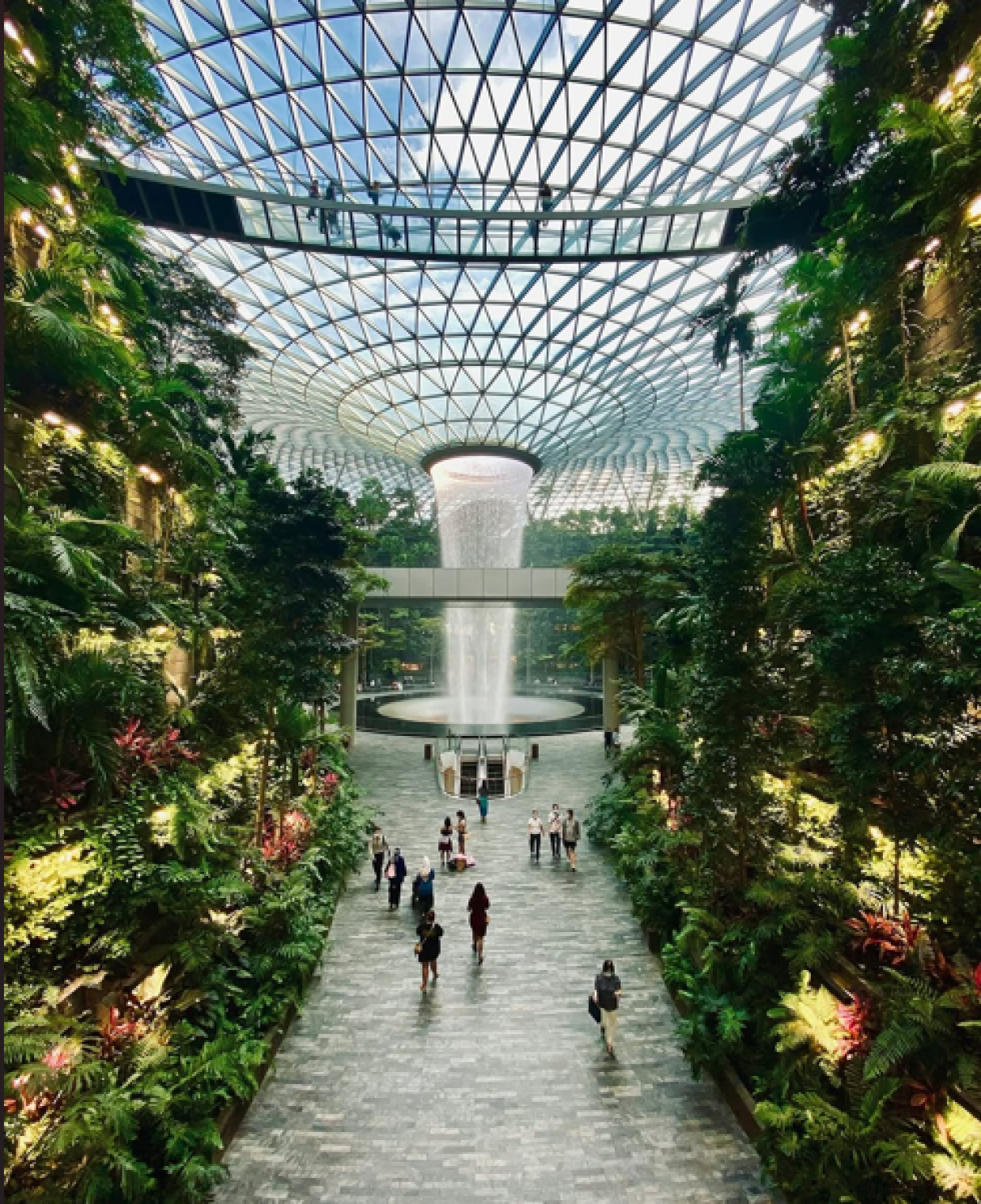 Dai dinosauri ai ristoranti stellati: i migliori aeroporti del mondo del 2025, in classifica anche uno italiano