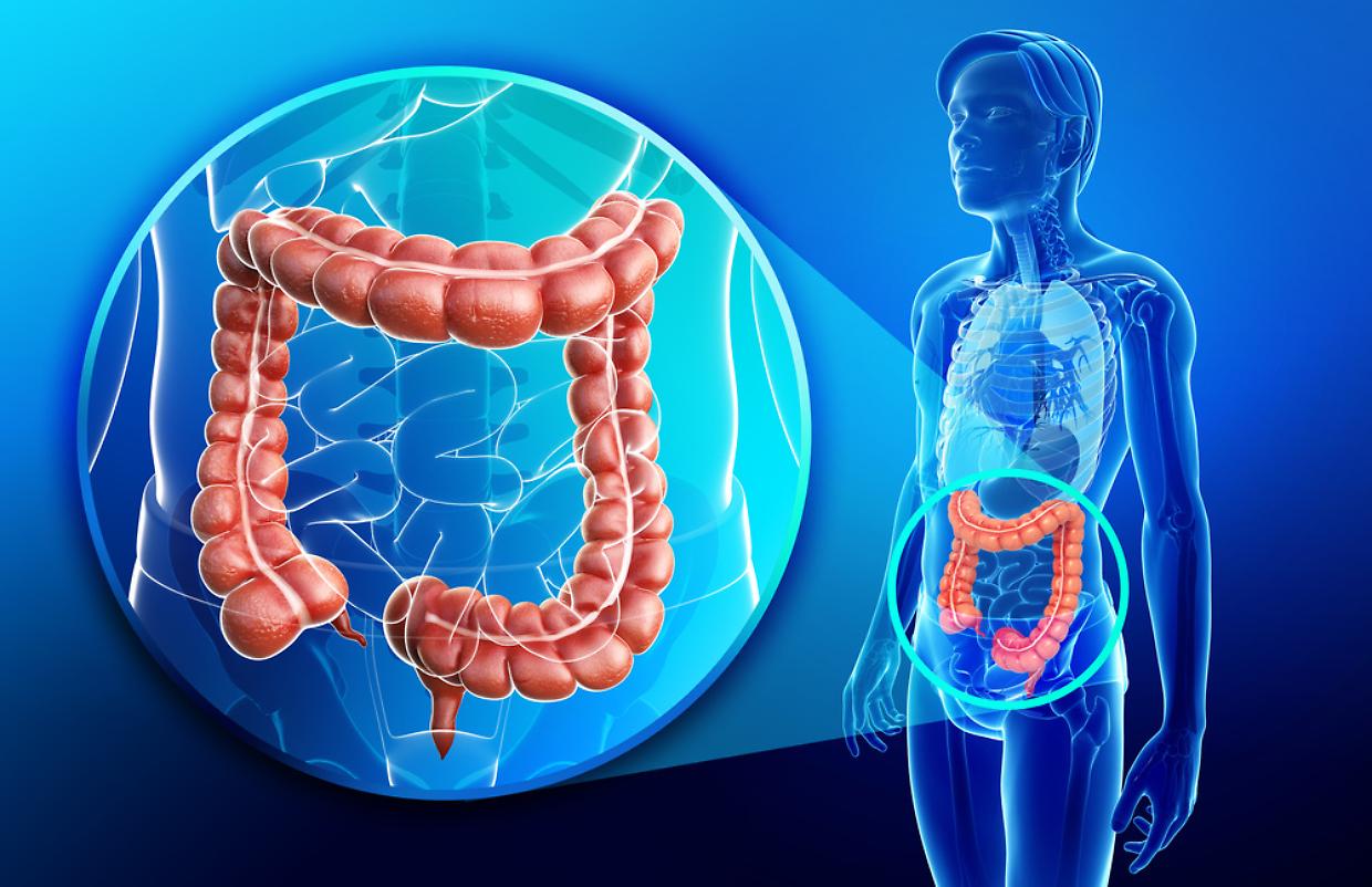Colonscopia Virtuale: la rivoluzione che abbatterà le lunghe liste d’attesa e semplificherà la vita ai pazienti