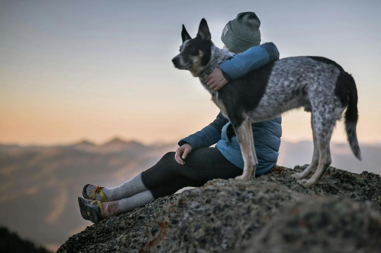 I cani ci ascoltano (e ci capiscono): uno studio scientifico lo conferma