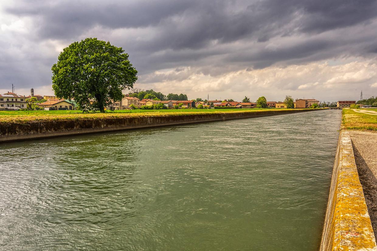 Novara, scivola nel canale e scompare: due amici si tuffano per salvarlo, ma il 20enne svanisce nell’acqua