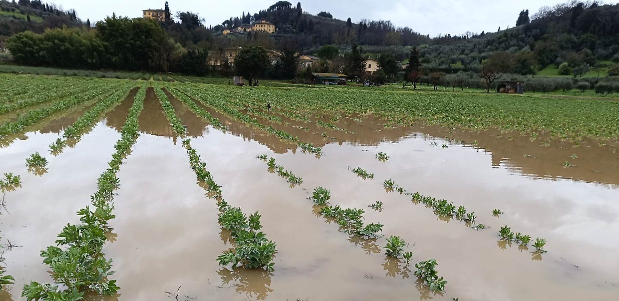 Maltempo in Piemonte: agricoltura in crisi per la necessità di riprogrammare le semine