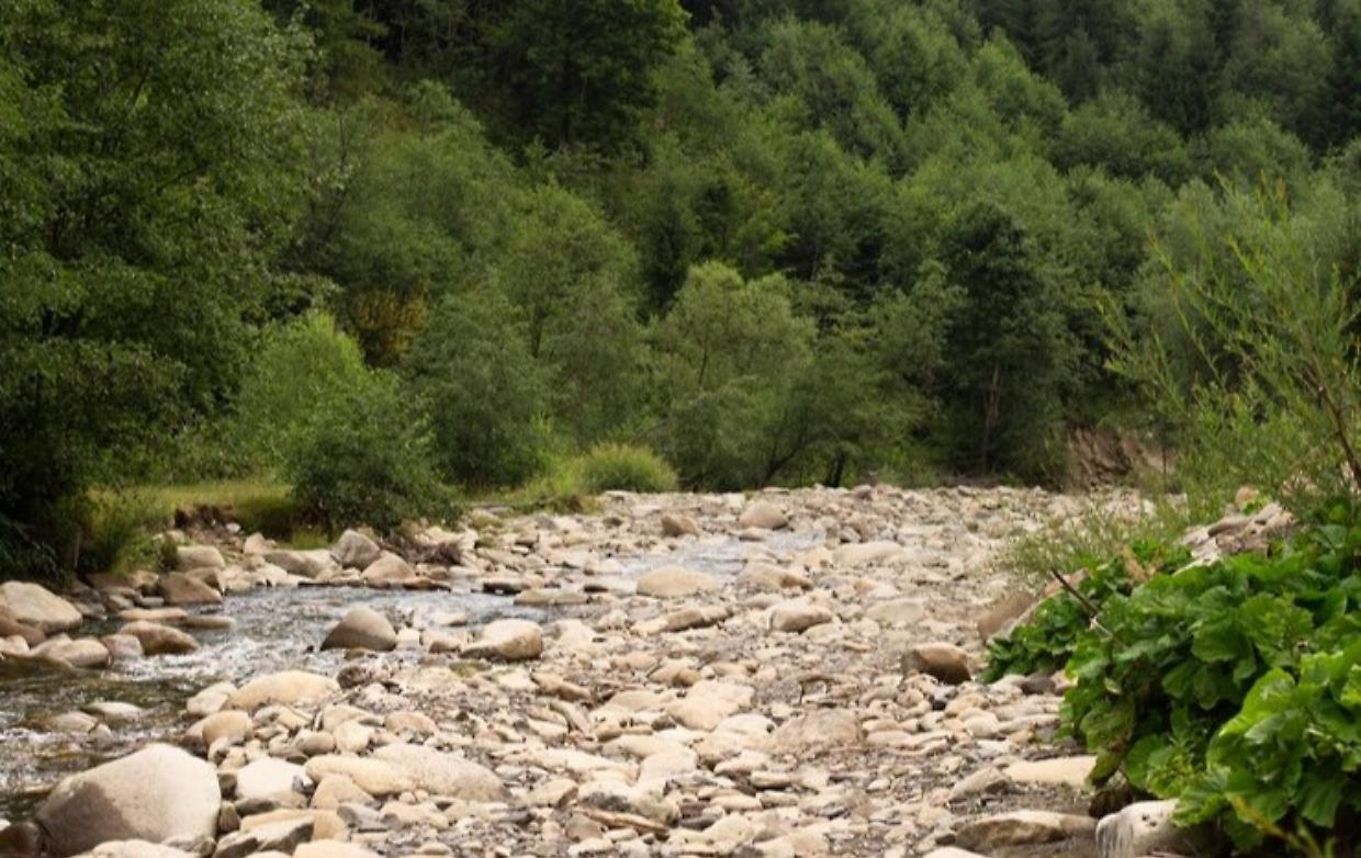Santena: un nuovo capitolo per il torrente Banna tra sicurezza e sostenibilità