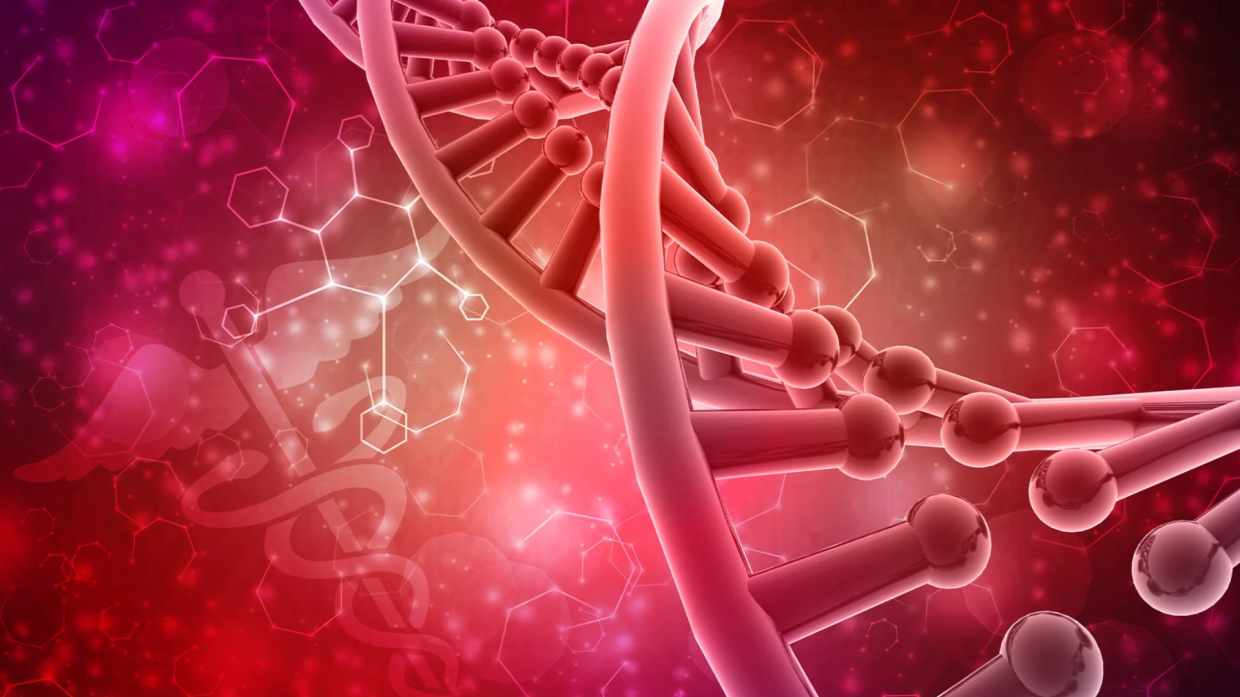 Ormoni sotto attacco: come proteggerci dagli interferenti endocrini