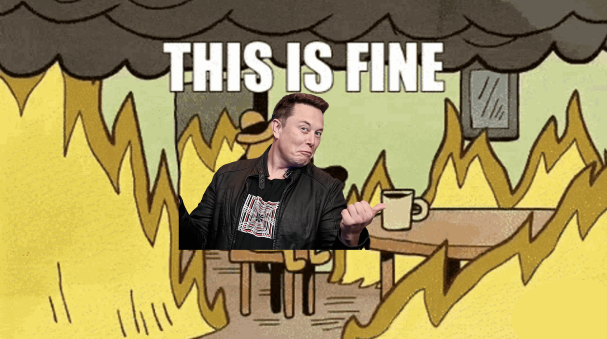 Musk brucia 140 miliardi in tre mesi: addio al governo, ritorno a Tesla