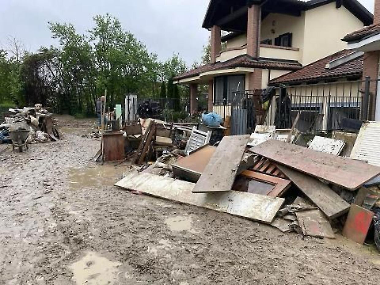 Una catena di solidarietà per la donna che salva i cani
