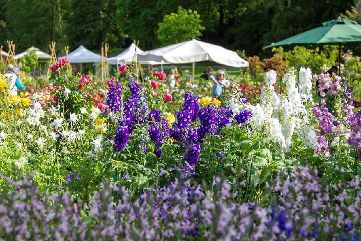 Tre giorni per il giardino