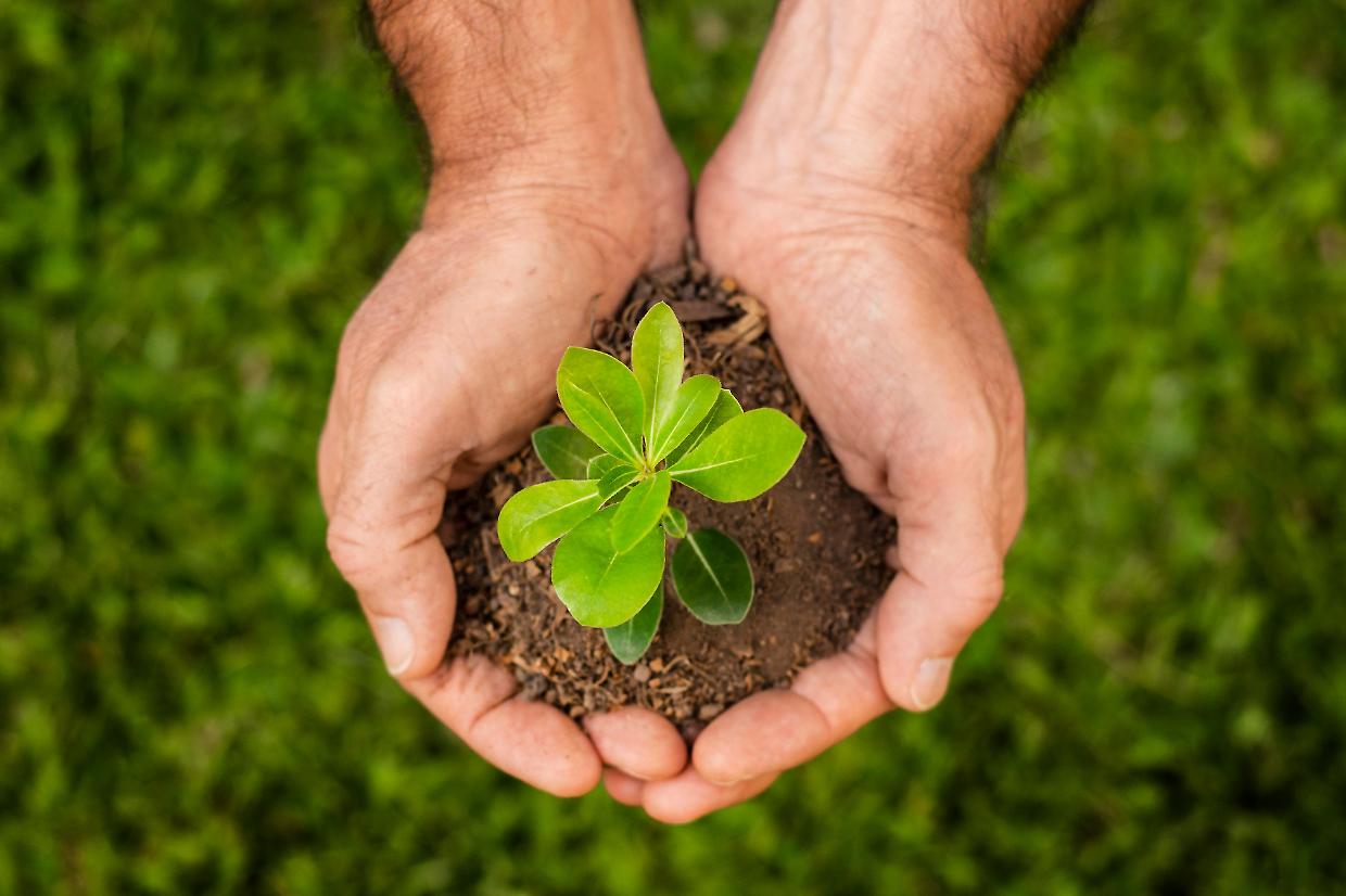 La bellezza come resistenza: il Mercato della terra e della biodiversità di San Giorgio Canavese
