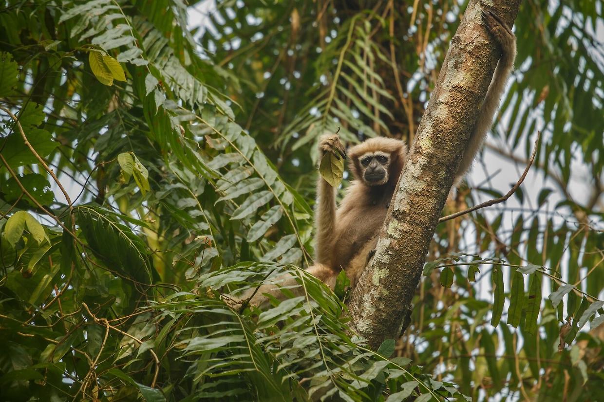 Grrreen Festival: un mese di sostenibilità e creatività al Bioparco ZOOM Torino