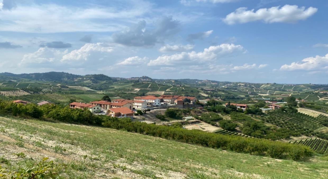 Il ritorno del "Pianté Magg": tradizione e comunità a San Rocco di Montaldo Roero