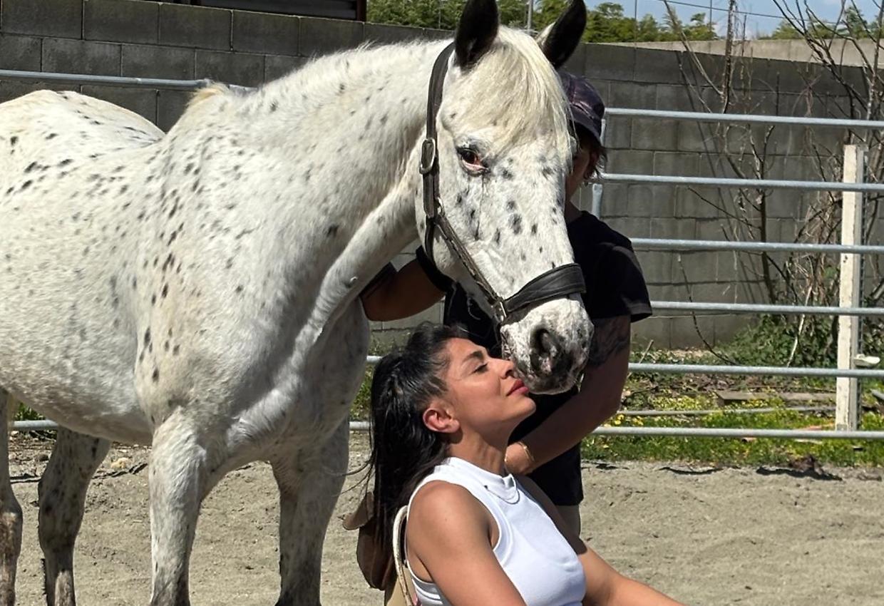 Sussurrare ai cavalli si può. Ecco come e dove si fa