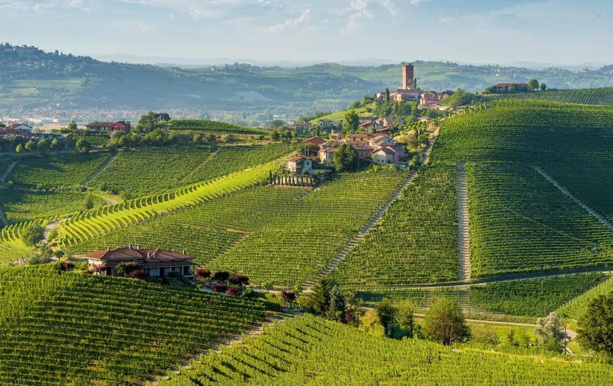 Passeggiata tra le Orchidee: un tuffo nella natura tra i colli del Monferrato